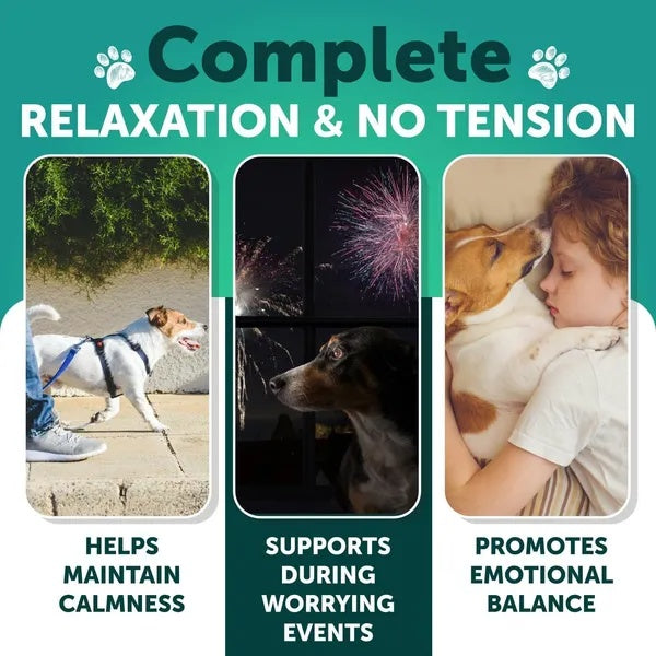 Hemp Calming Chews for Dogs โ Stress & Anxiety Relief Treats ๐ถโจ