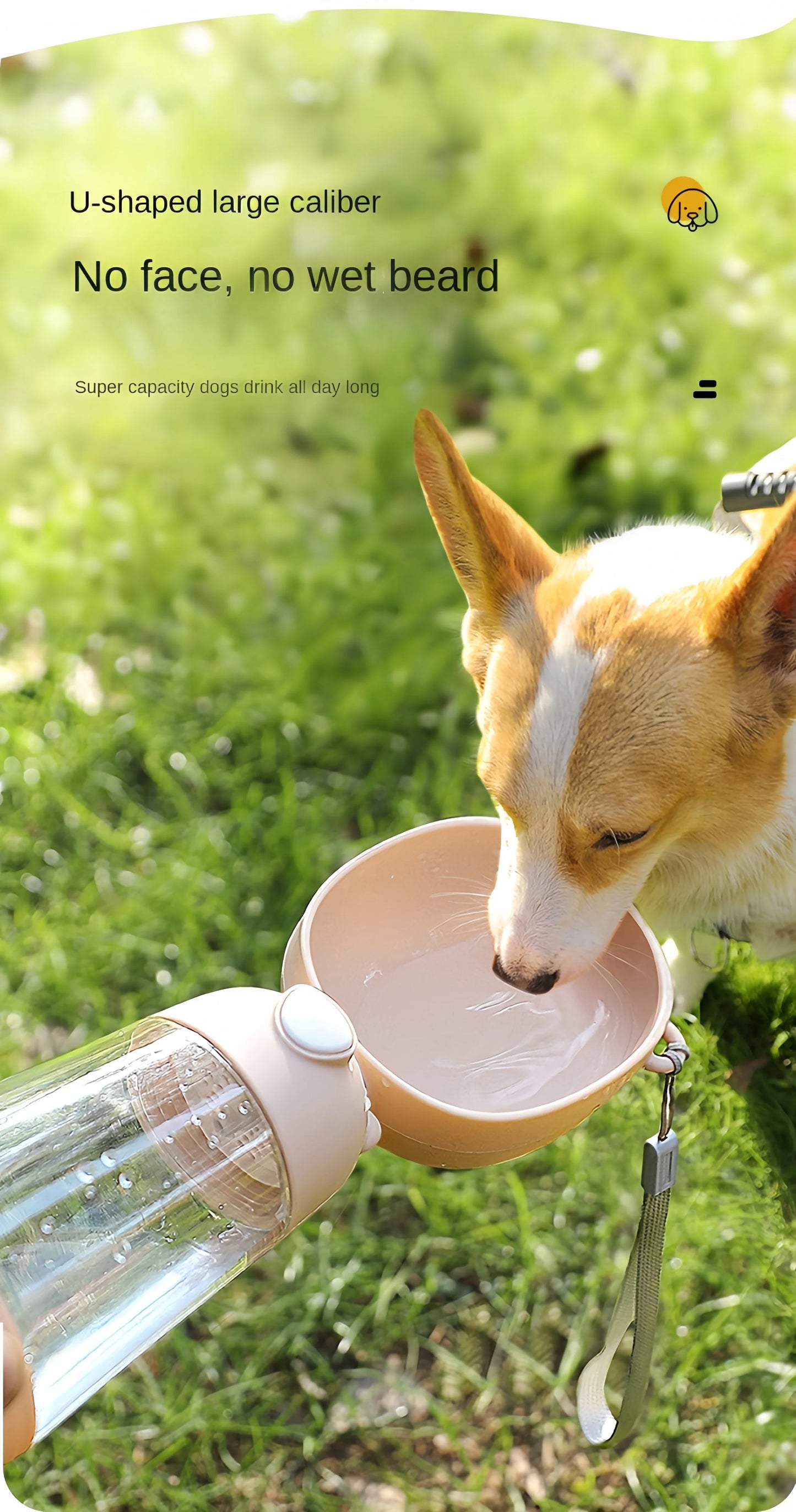 PawsHydrate Dog Water Bottle