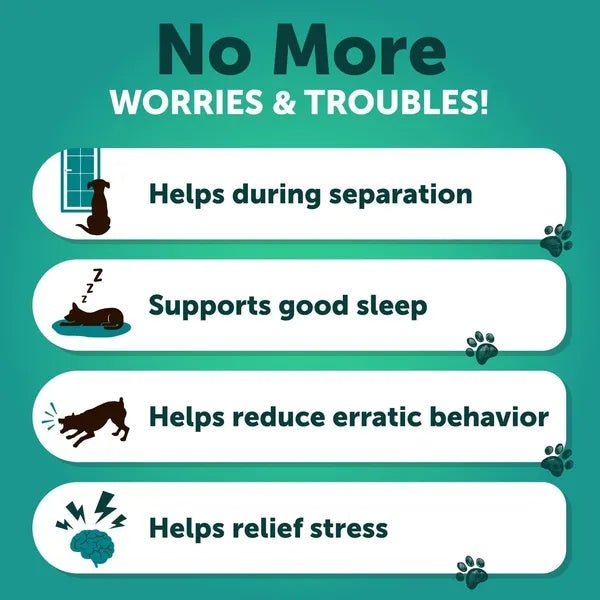 Hemp Calming Chews for Dogs โ Stress & Anxiety Relief Treats ๐ถโจ