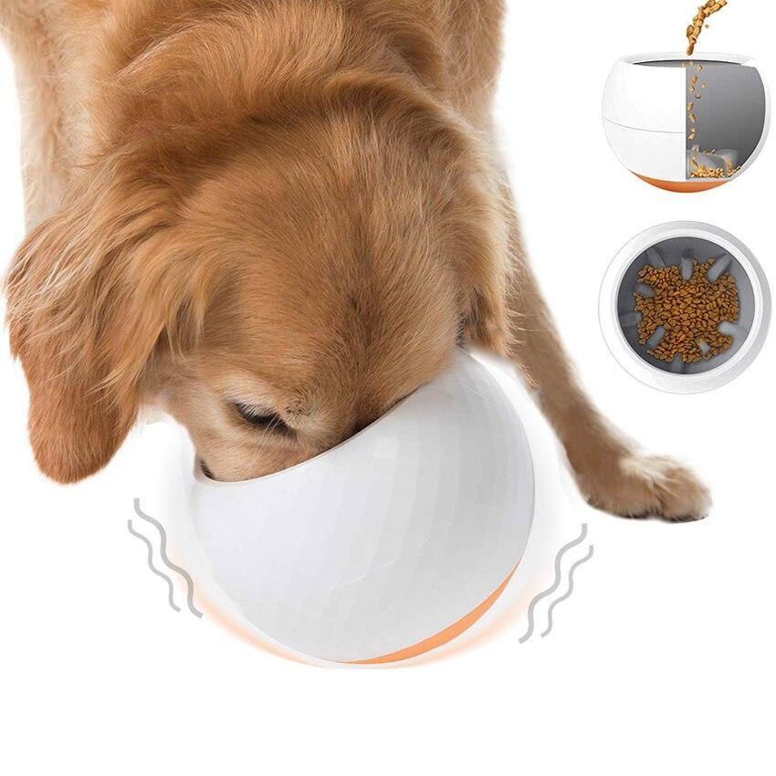 PawPace Slow Feeder Bowl