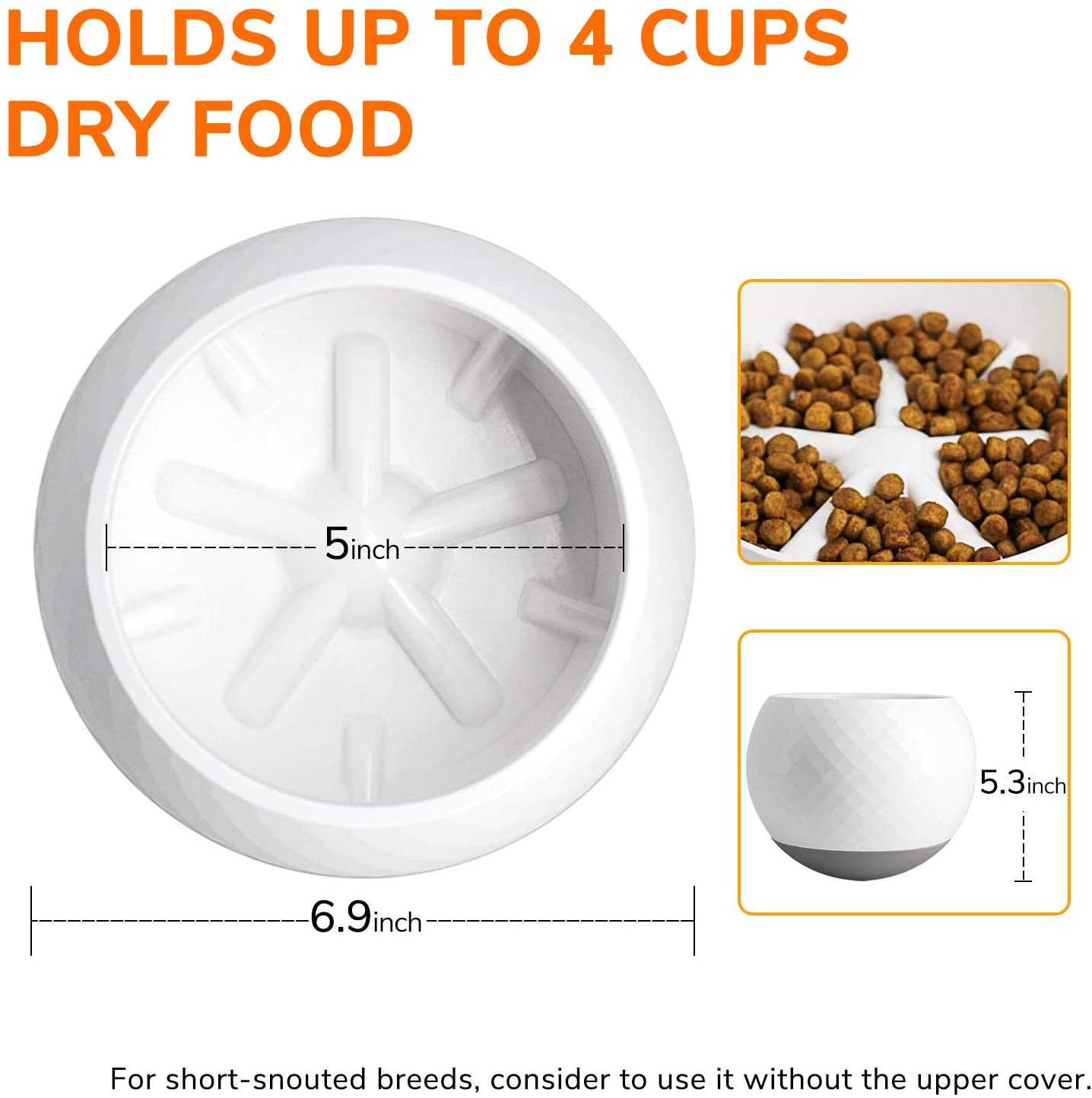 PawPace Slow Feeder Bowl