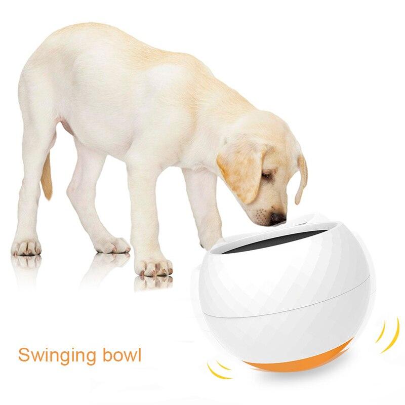 PawPace Slow Feeder Bowl