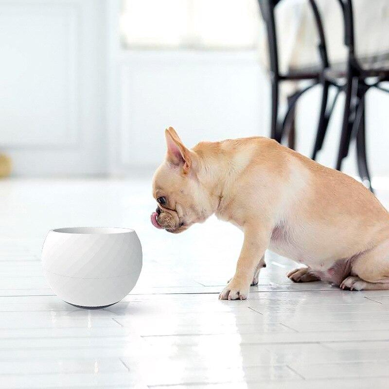 PawPace Slow Feeder Bowl